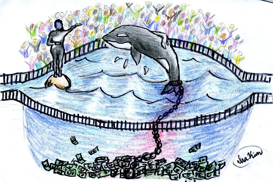 Seaworld+claims+they+%E2%80%9Crescue%E2%80%9D+animals+but+they+do+quite+the+opposite.+They+steal+animals+from+their+natural+habitat%2C+from+their+family+and+loved+ones%2C+confine+them+causing+psychological+damage%2C+and+deprive+them+of+food+in+order+to+make+money.