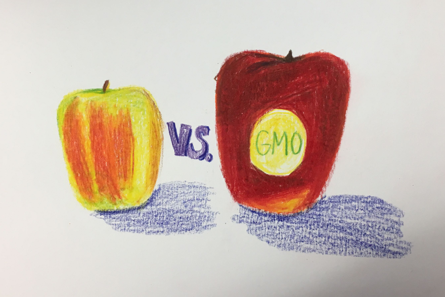 80 percent of all crops grown in the US, including corn, soy, sugar, cotton, and many more, contain genetically modified organisms (GMOs).