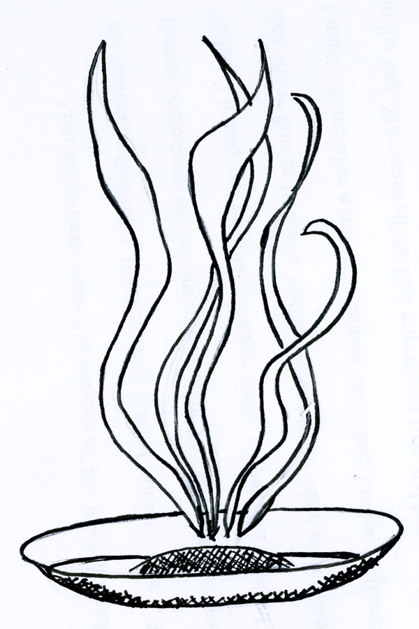 One type of aromatherapy is incense, which comes in many different scents.