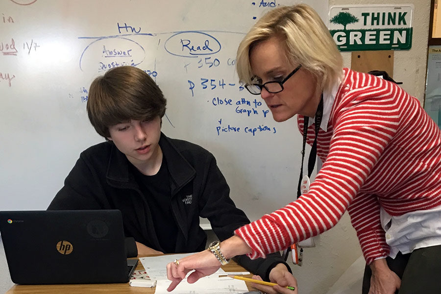 April Owen has been teaching chemistry for 23 years and environmental science for two years. “I love teaching at Central and look forward to what every new school year brings!” Owen said. (photo courtesy of April Owen)