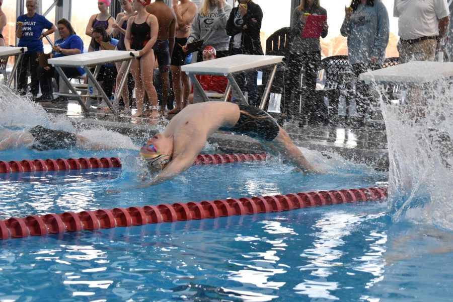 Senior Cole McCallum dives into the start of the  100yd backstroke. McCallum placed third overall.