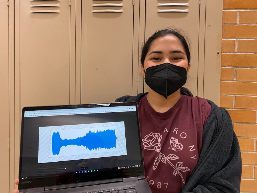 Photo by Sophia Finkbeiner. Iyer shows an example of the audio recording converted into an image file, which can then be analyzed to diagnose Parkinson’s. 
