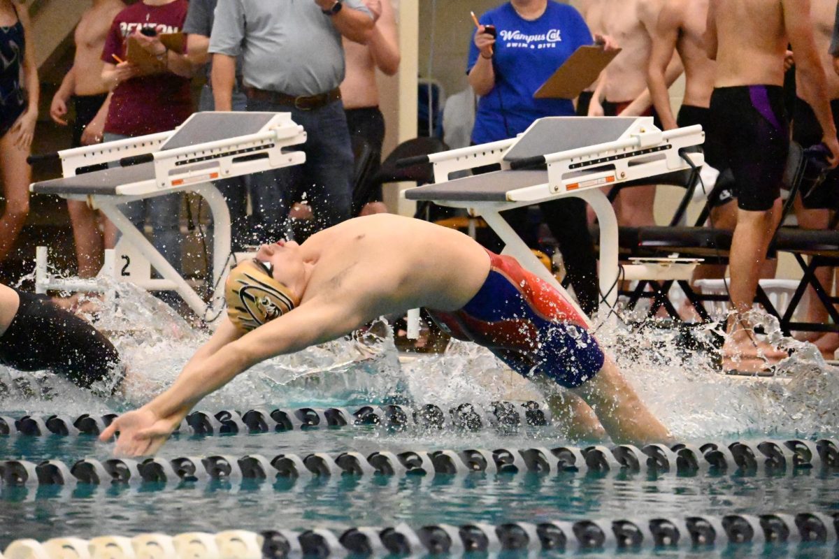 Sophomore Joshua Smith  executes a backstroke start en route to winning the 100 yard backstroke. Photo by Meredith Lipsey