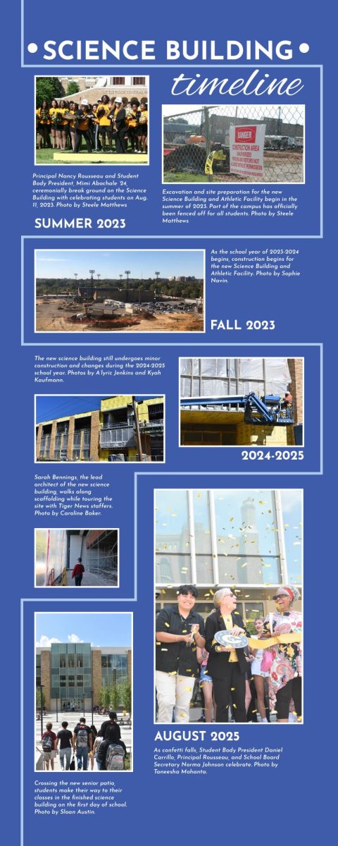 Timeline by